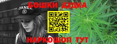 амф Новозыбков