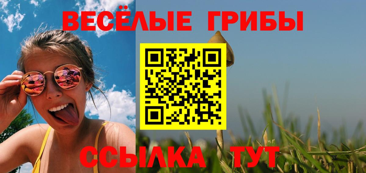 Галлюциногенные грибы GOLDEN TEACHER  Вход с VPN  Галлюциногенные грибы ЛСД  Солнечногорск 