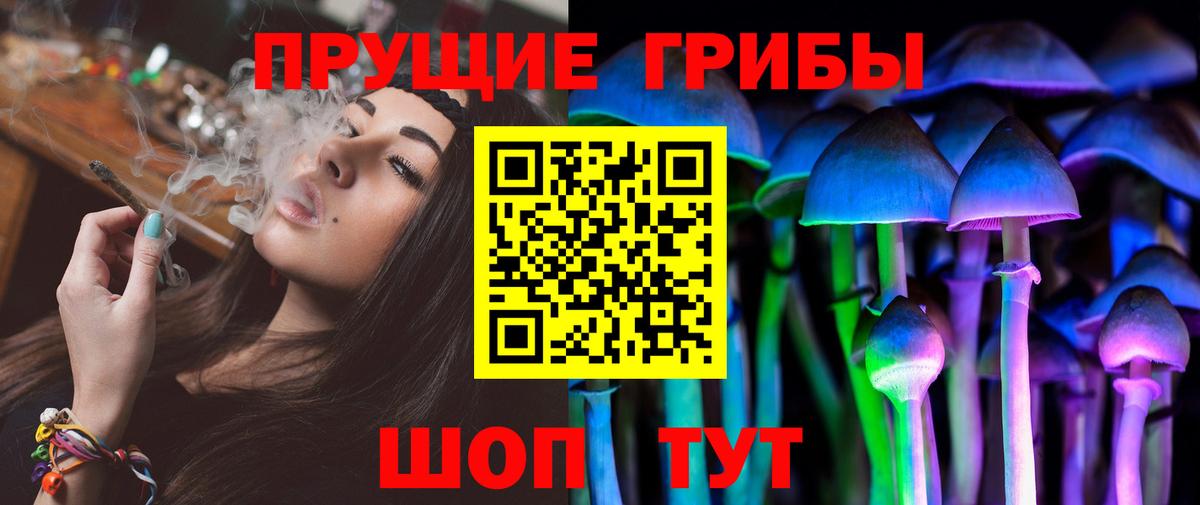 Галлюциногенные грибы Psilocybe Солнечногорск